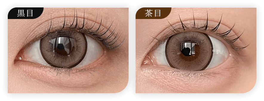 アミュリー｜度あり・度なしカラコン ワンデー｜15.0mm｜ワイ。