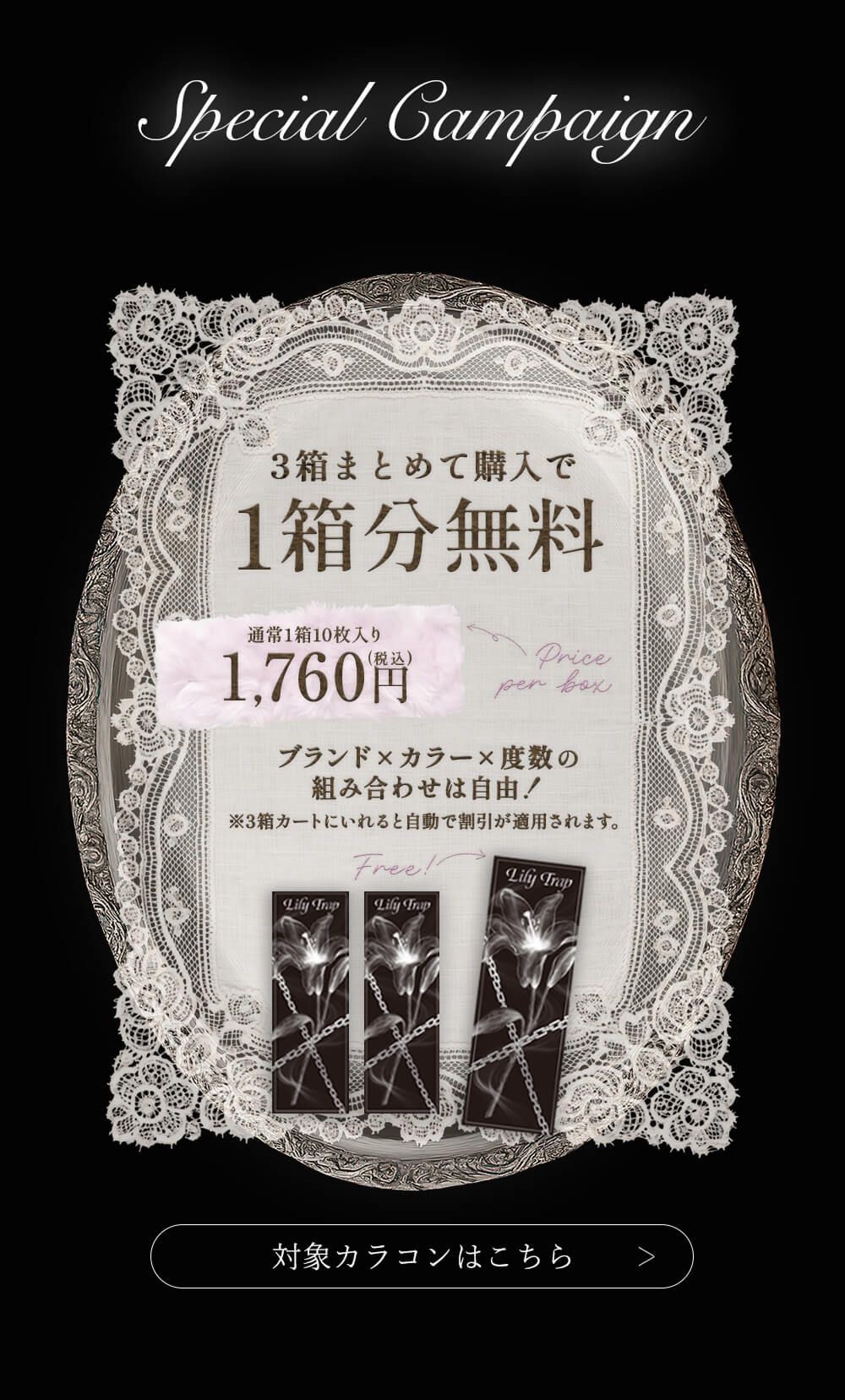 ワンデーバンドル