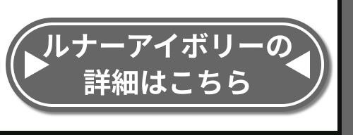 詳細はこちら