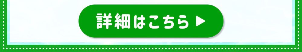詳細