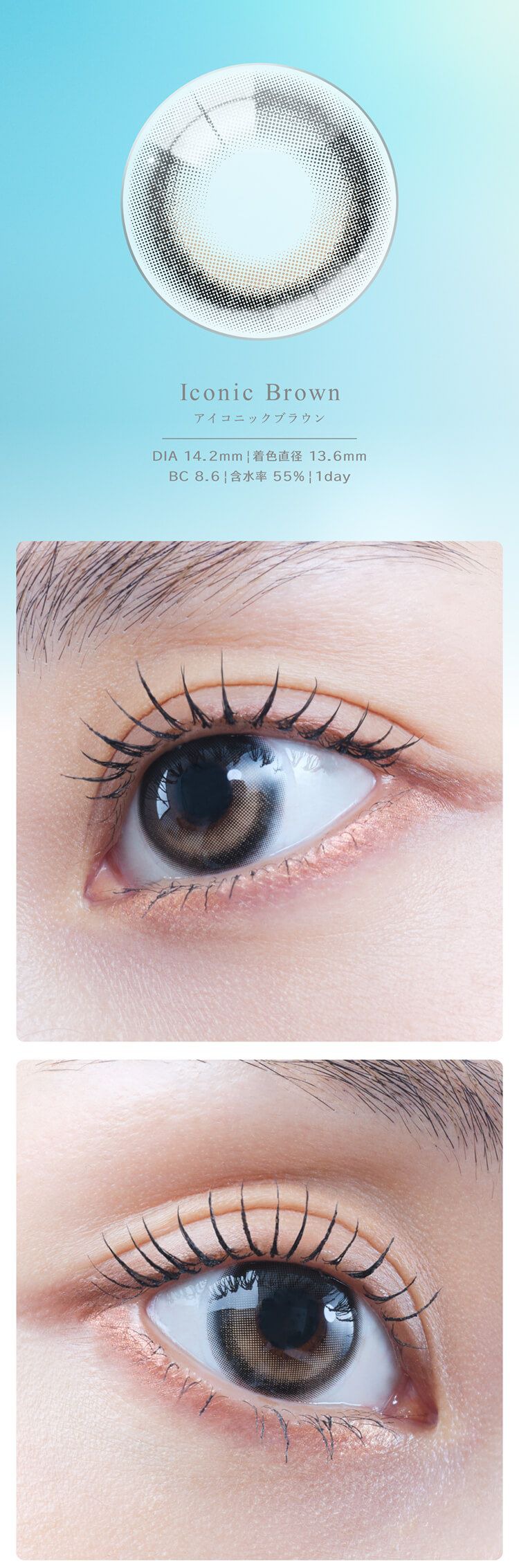 アイコニックブラウン