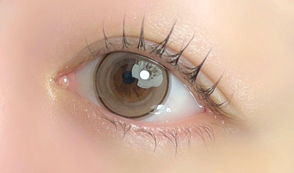 ホロベージュ着画