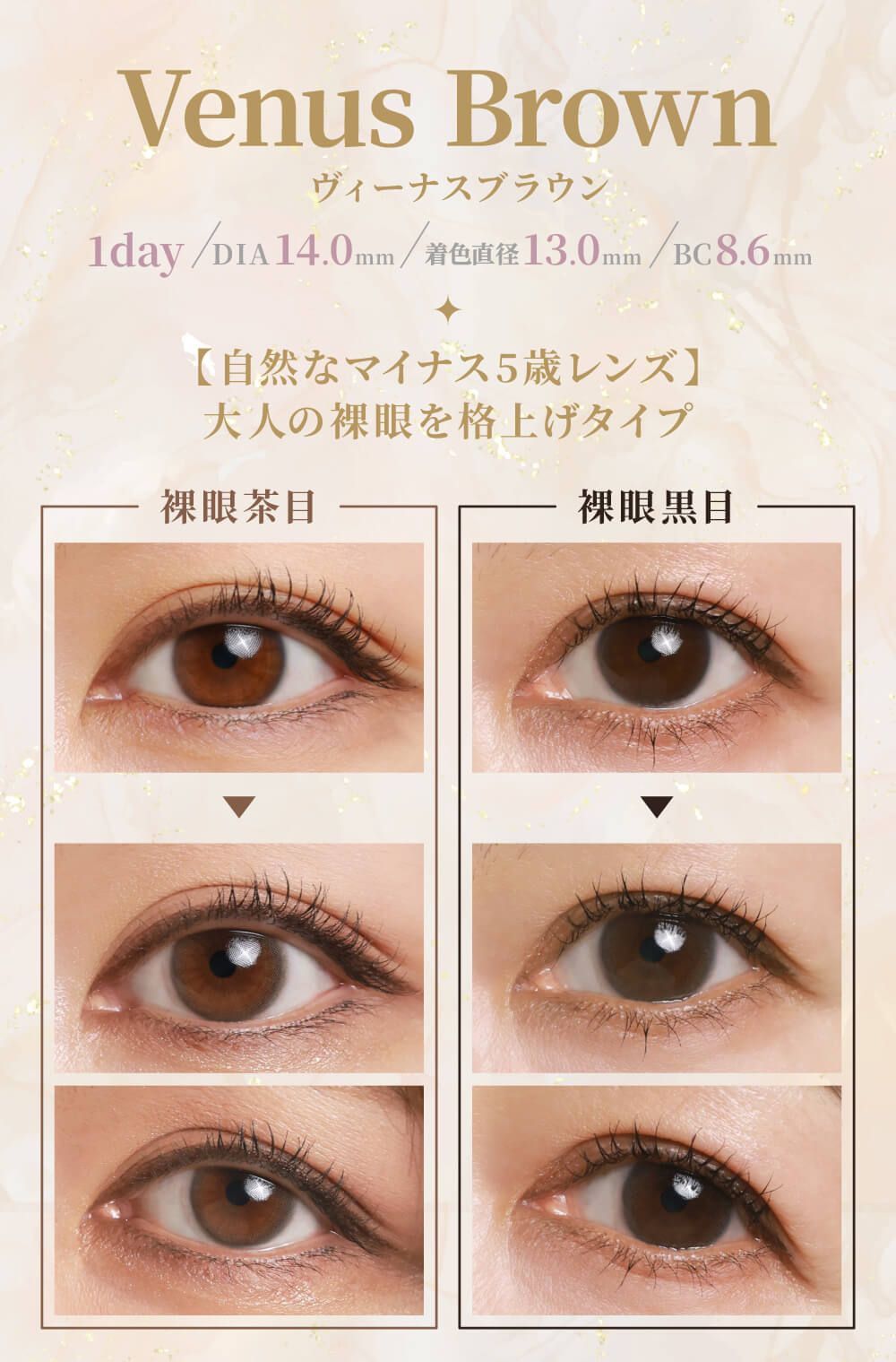 ヴィーナスブラウン