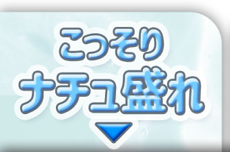 こっそりナチュ盛れ