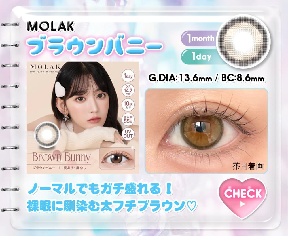 ブラウンバニー