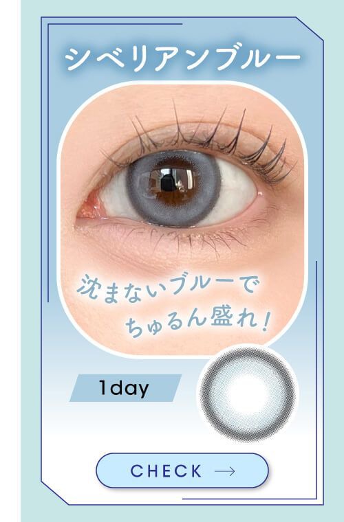 シベリアンブルー