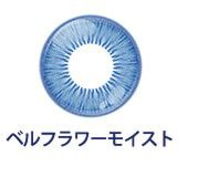 ベルフラワーモイスト