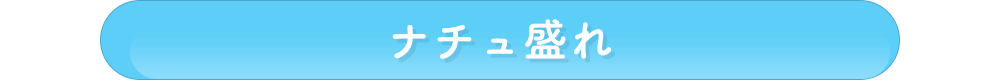 ナチュ盛れ