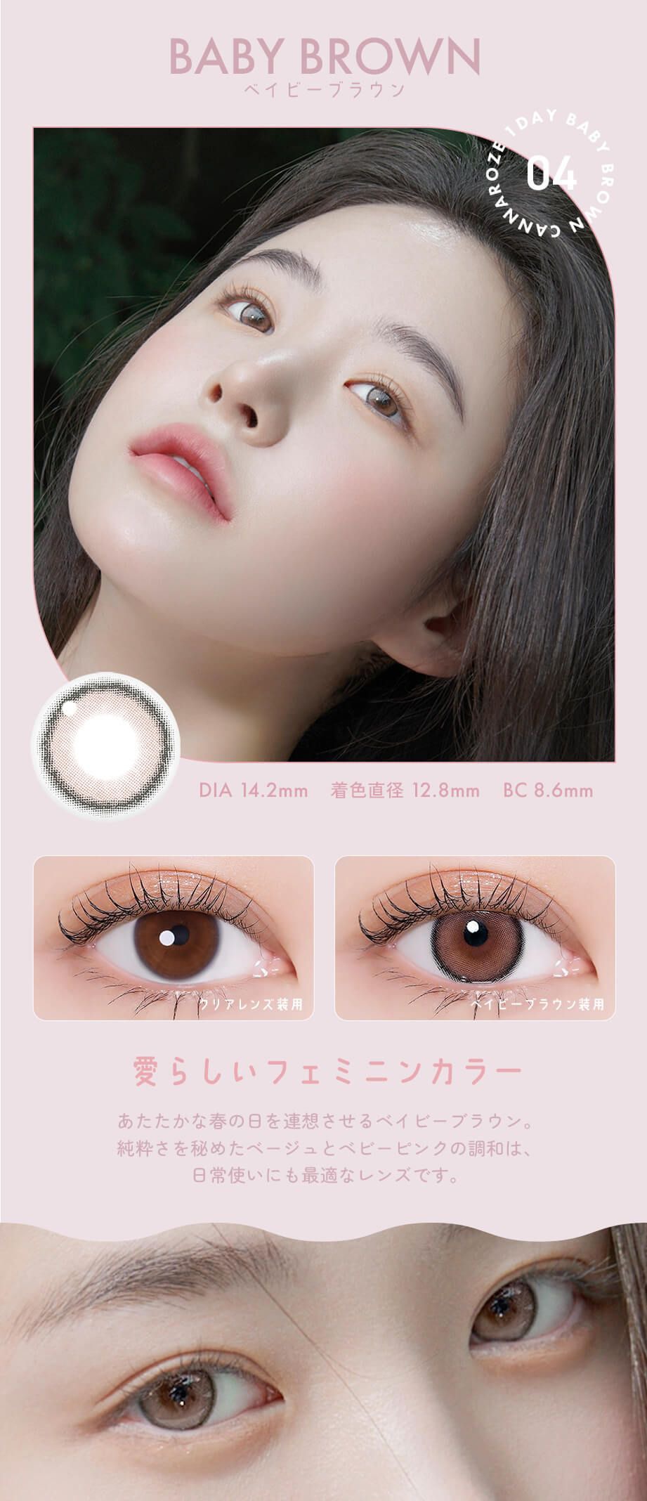 ベイビーブラウン