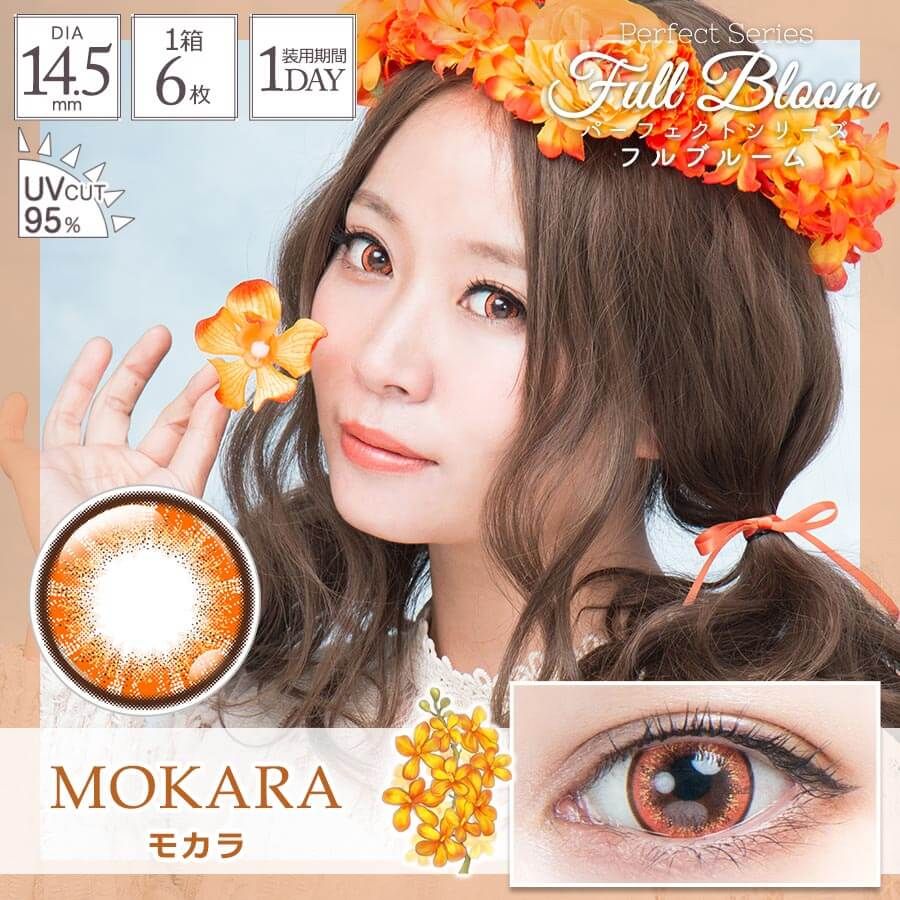 パーフェクトシリーズ フルブルームワンデー（Perfect Series