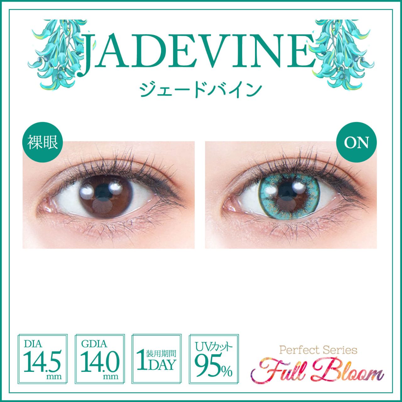 パーフェクトシリーズ フルブルームワンデー（Perfect Series