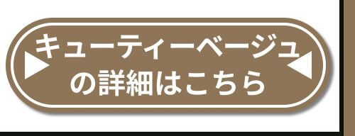 詳細はこちら