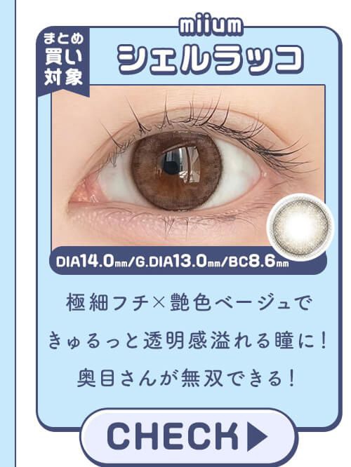 シェルラッコ