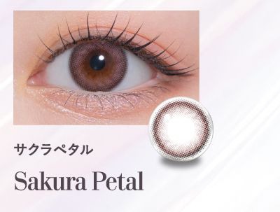 サクラペタル