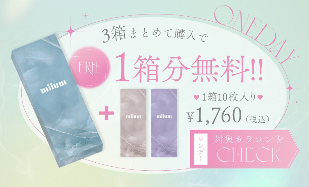 ワンデーバンドル