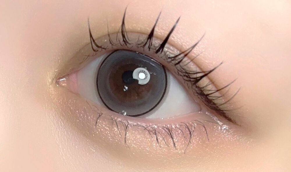 ホログレー着画