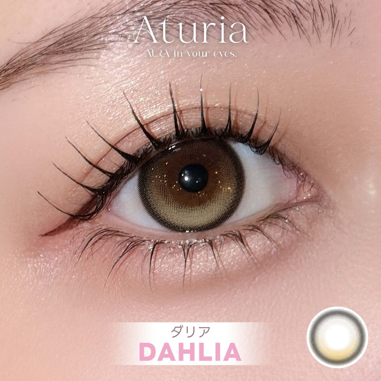 アトゥリア シリコーン ハイドロゲル／シリコン（Aturia silicone hydrogel） ダリア【回らない水光】