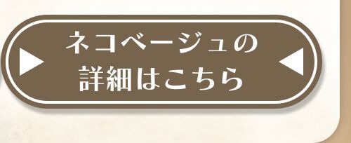 詳細はこちら