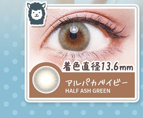 アルパカベイビー