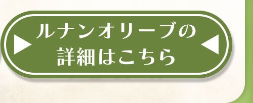 詳細はこちら