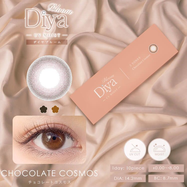 ダイヤ ブルーム（Diya Bloom） チョコレートコスモス