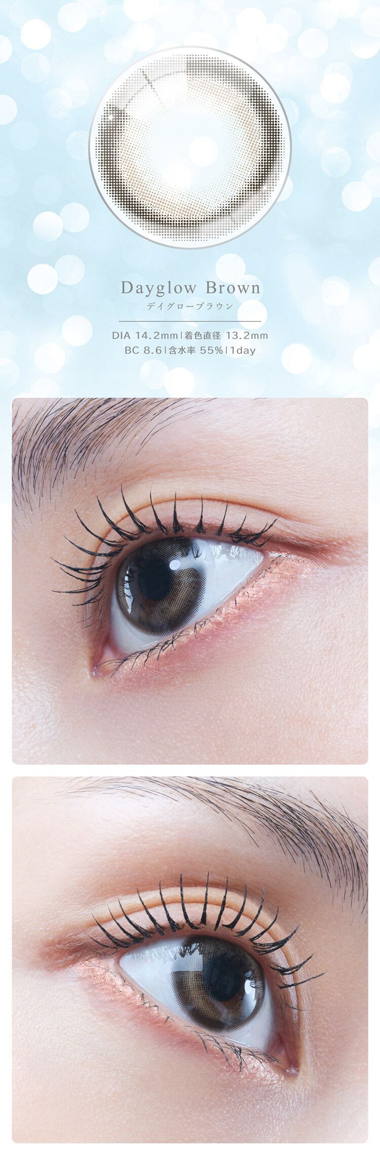 デイグローブラウン