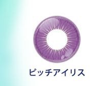 ピッチアイリス