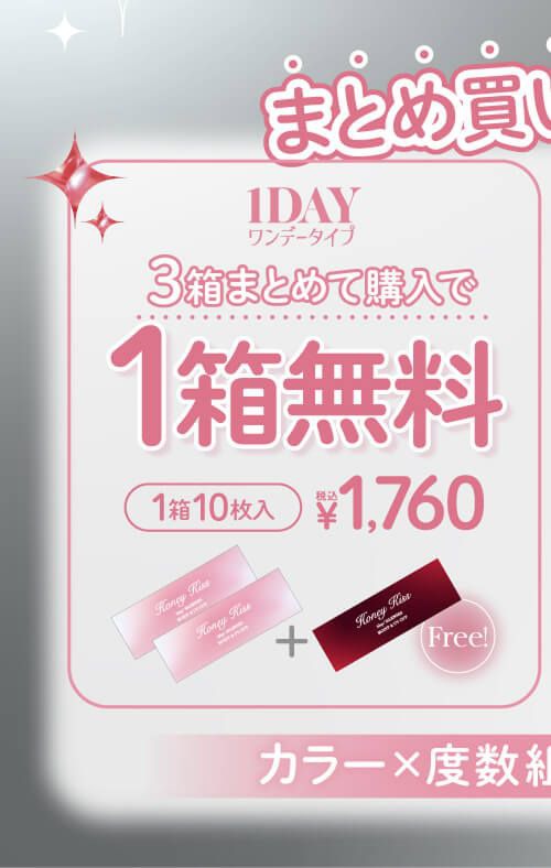 ワンデーバンドル