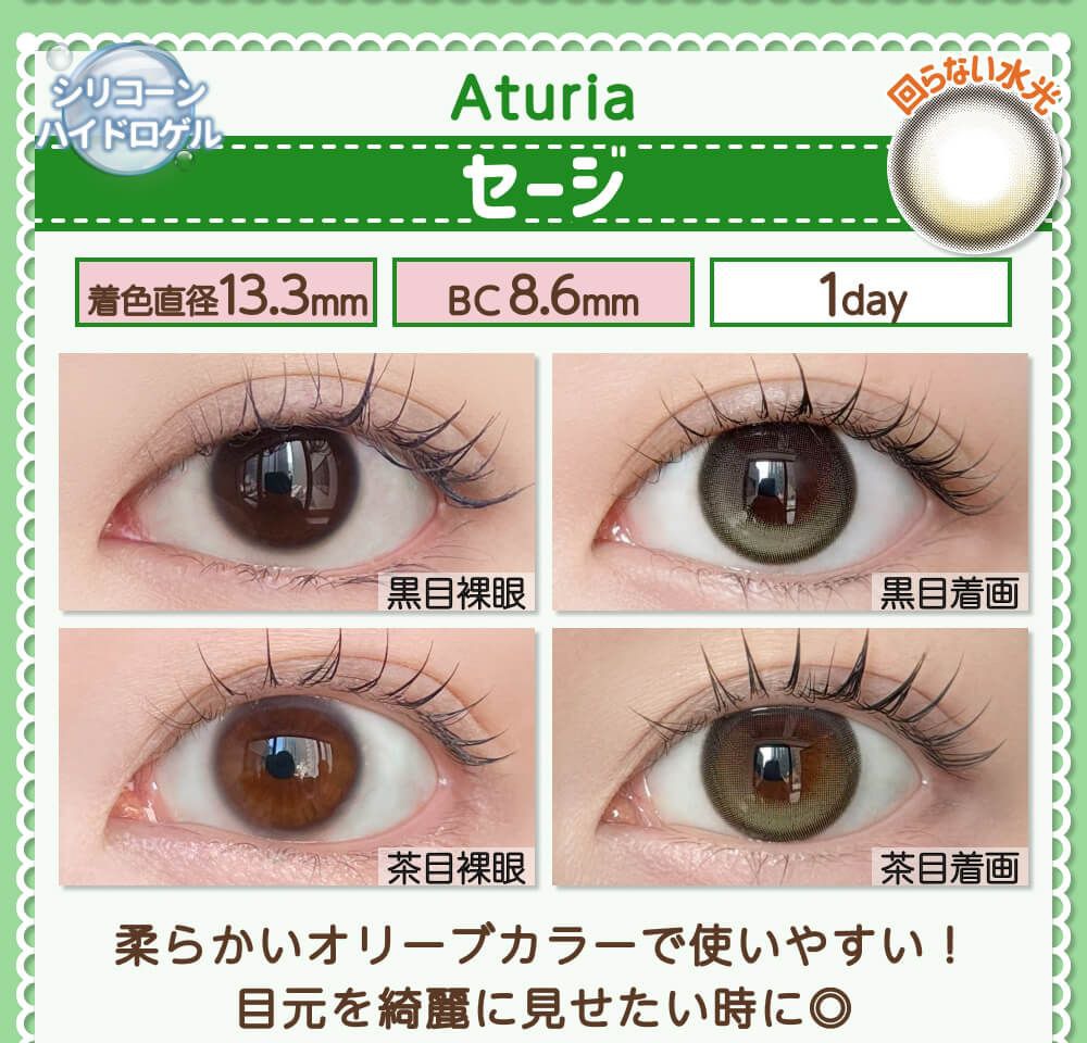 セージ