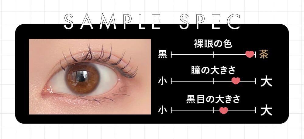 サンプルスペック
