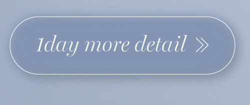 ホログレーワンデー