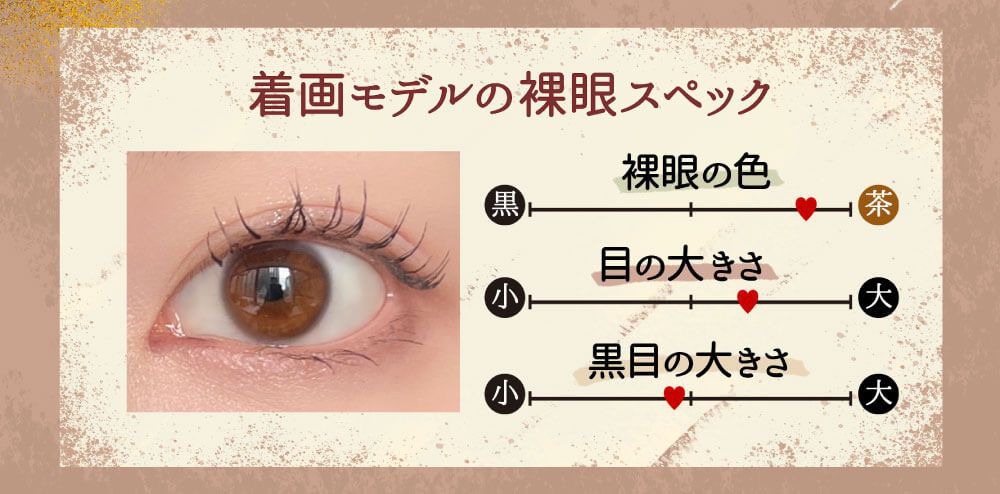 モデルスペック