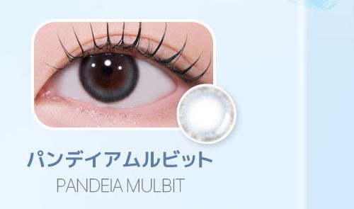 パンデイアムルビット