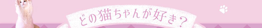 どの猫ちゃんが好き？