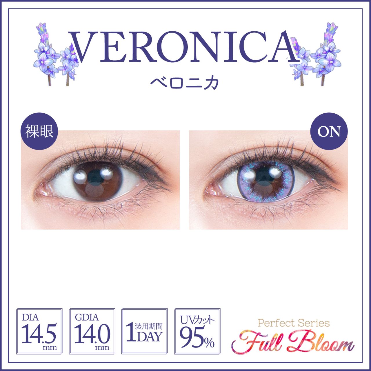 パーフェクトシリーズ フルブルームワンデー（Perfect Series