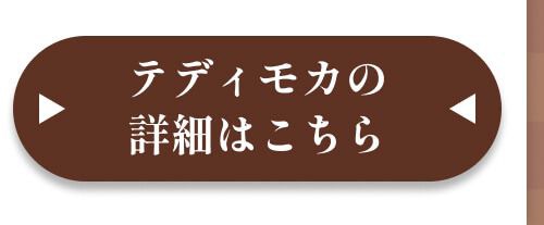 詳細はこちら