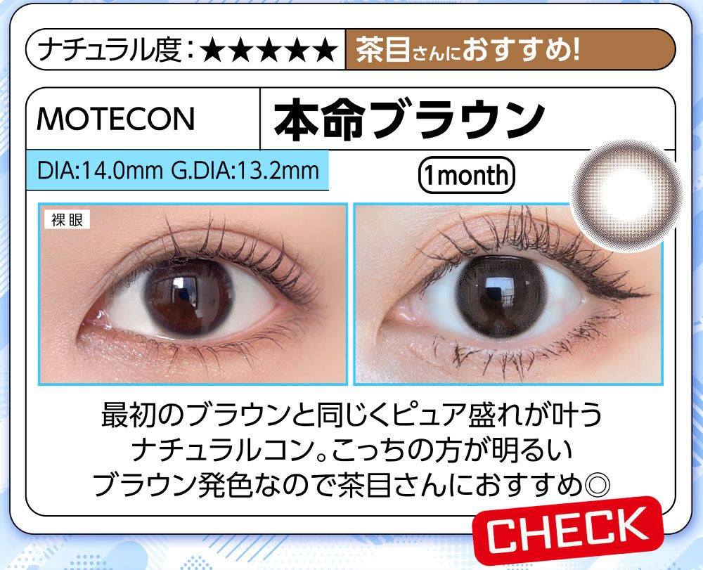 本命ブラウン