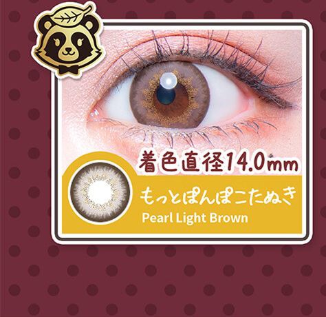 もっとぽんぽこたぬき