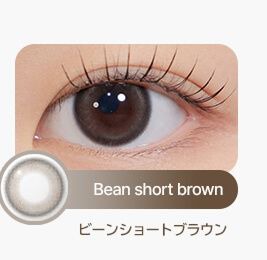 ビーンショートブラウン