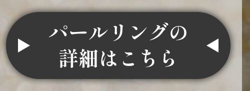 詳細はこちら
