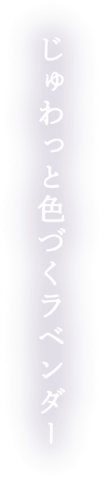 レイン（rain）