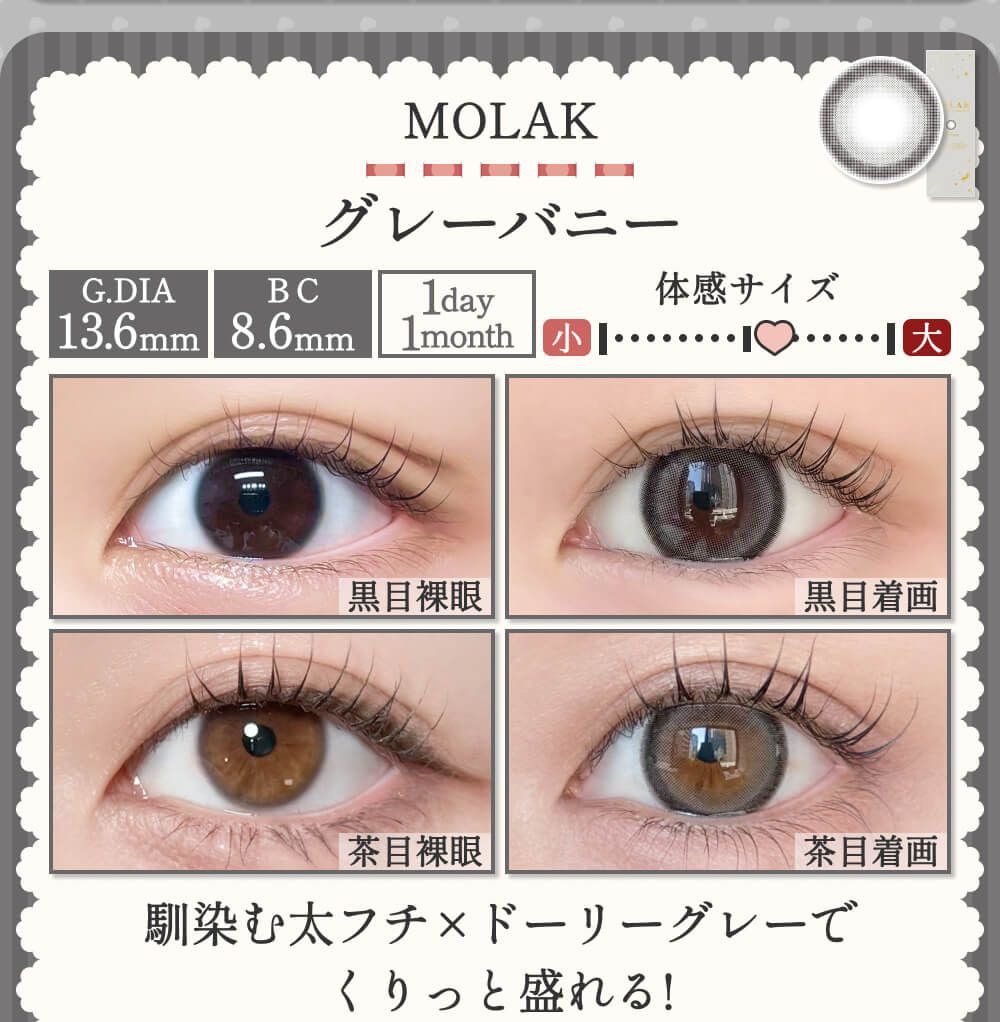 グレーバニー