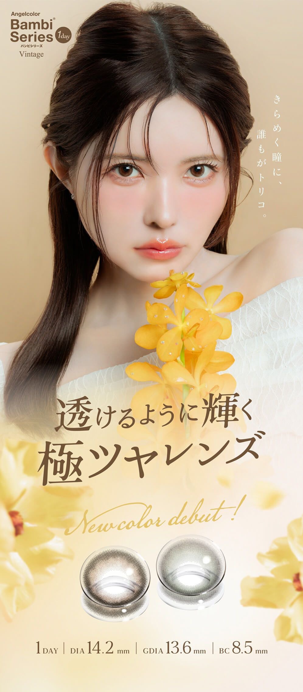 エンジェルカラー バンビシリーズ ヴィンテージ/ナチュラル ワンデー（Angelcolor Bambi Series Vintage/ Natural 1day）｜度あり・度なしカラコン ワンデー｜14.2mm｜益若つばさ