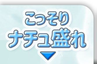 こっそりナチュ盛れ