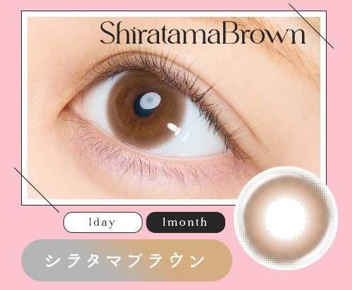 シラタマブラウン