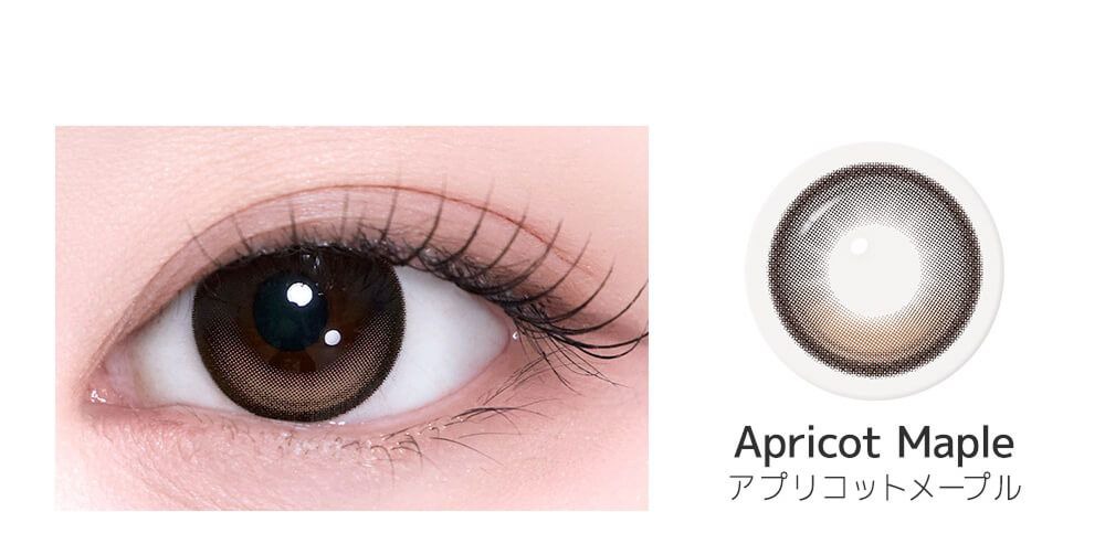 アプリコットメープル
