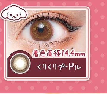 くりくりプードル