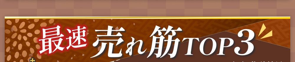 売れ筋ランキング