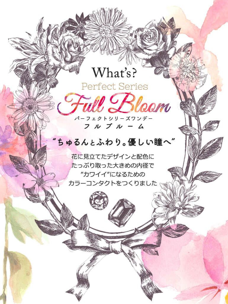 パーフェクトシリーズ ワンデー フルブルームワンデー（PerfectSeries1DAY FullBloom1day）｜度あり・度なしカラコン ワンデー｜14.5mm
