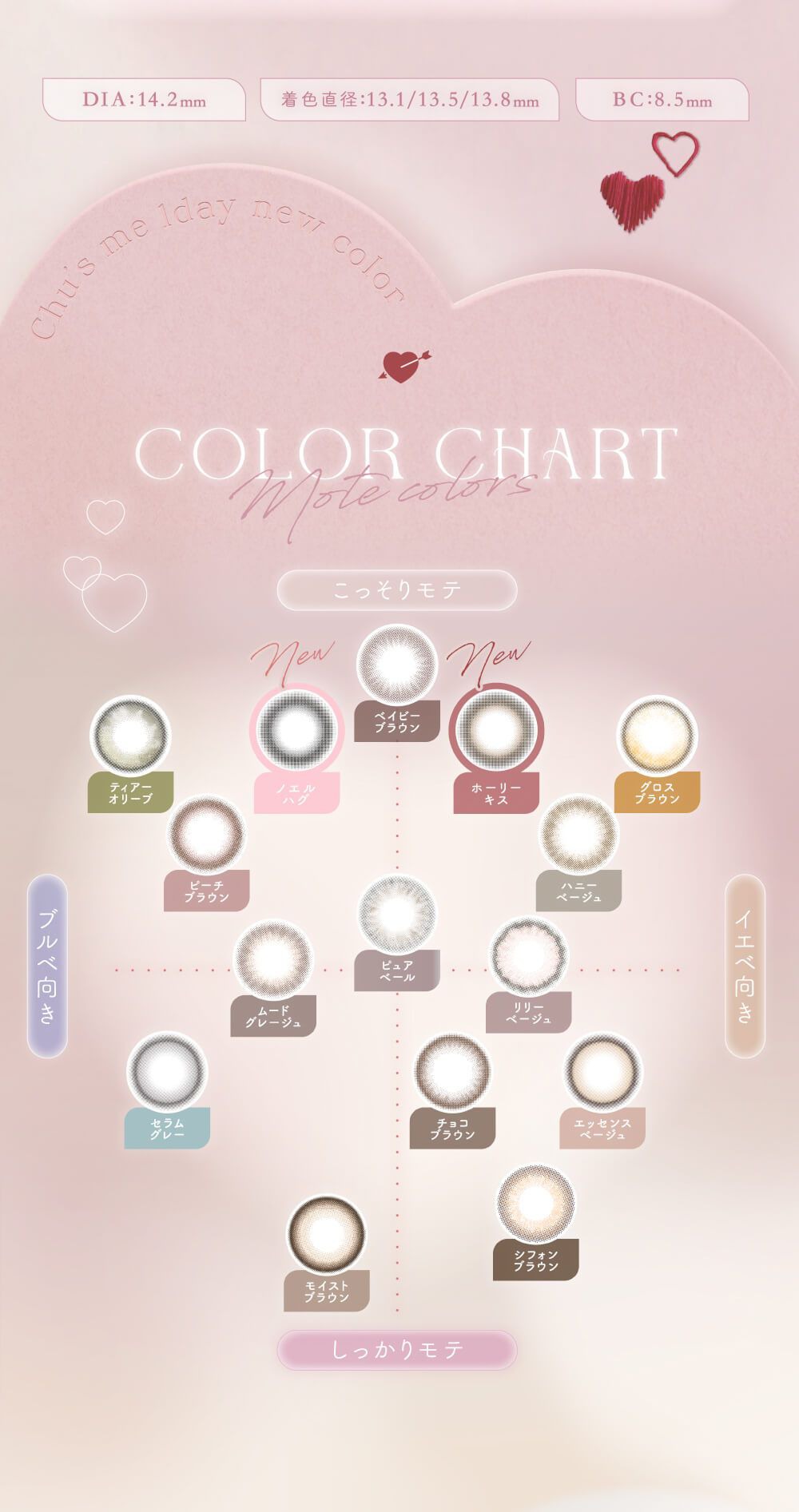 カラーチャート